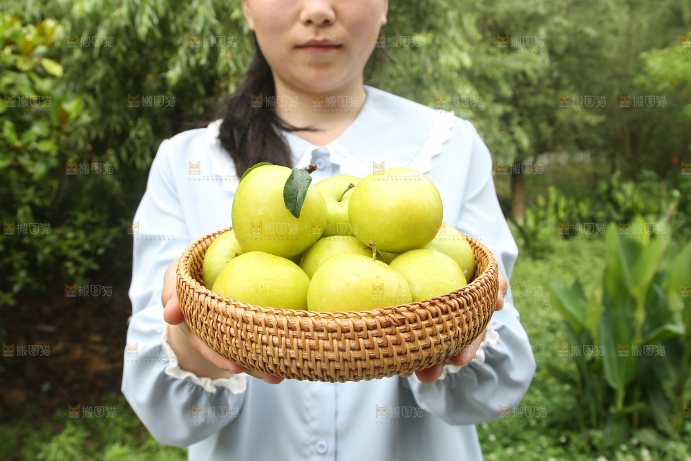 手里拿着一篮黄金奈李