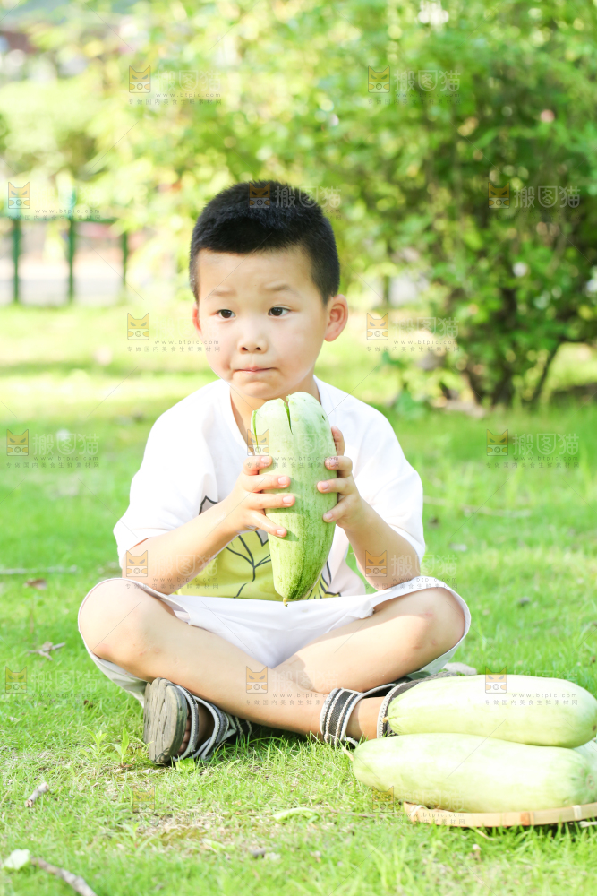 小男孩正在吃羊角蜜