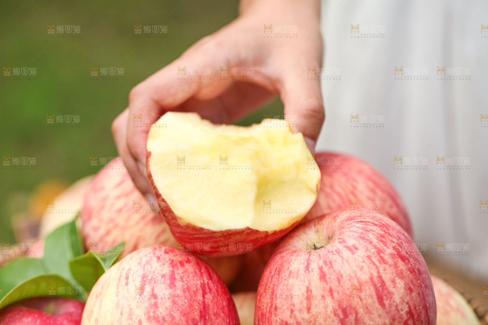 手里拿着烟台红富士