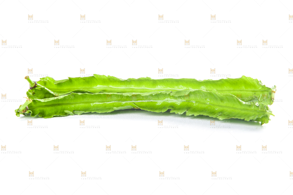 白底上摆放着四棱豆
