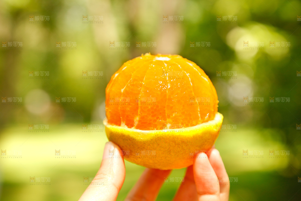 手里拿着橙子