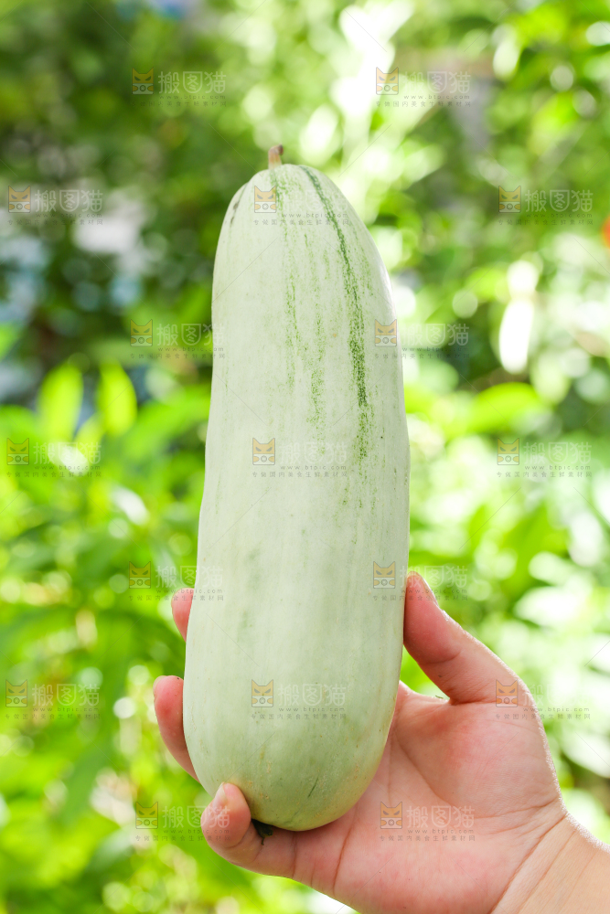 手里拿着羊角蜜