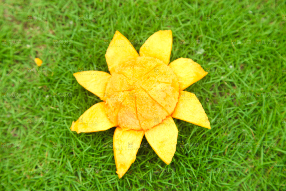 绿草地上放着一颗苹果芒
