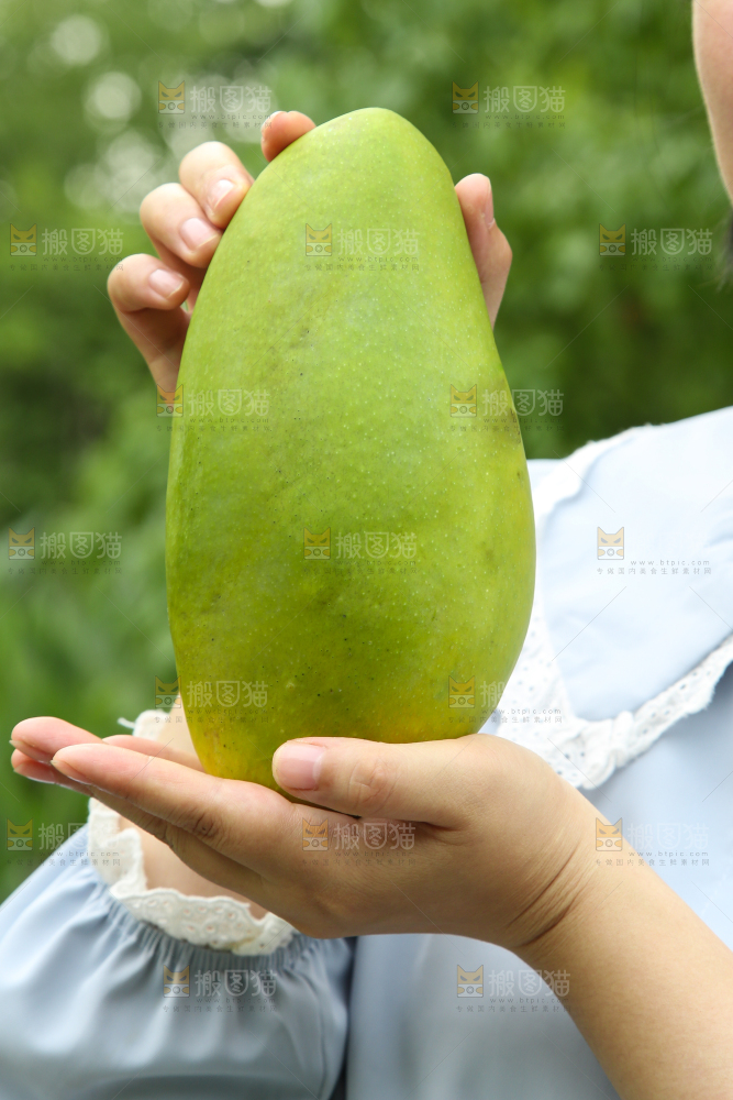 手里拿着青芒