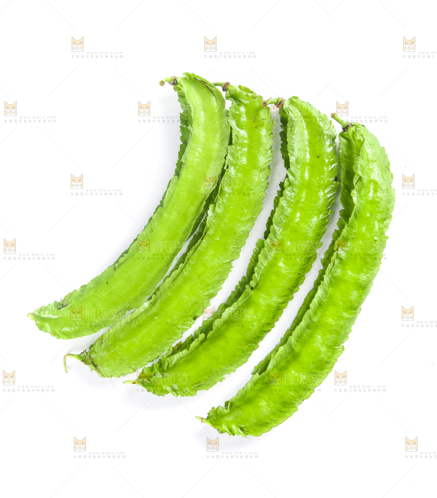 白底上摆放着四棱豆
