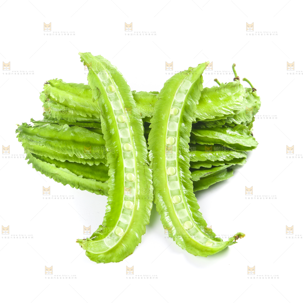 白底上摆放着四棱豆