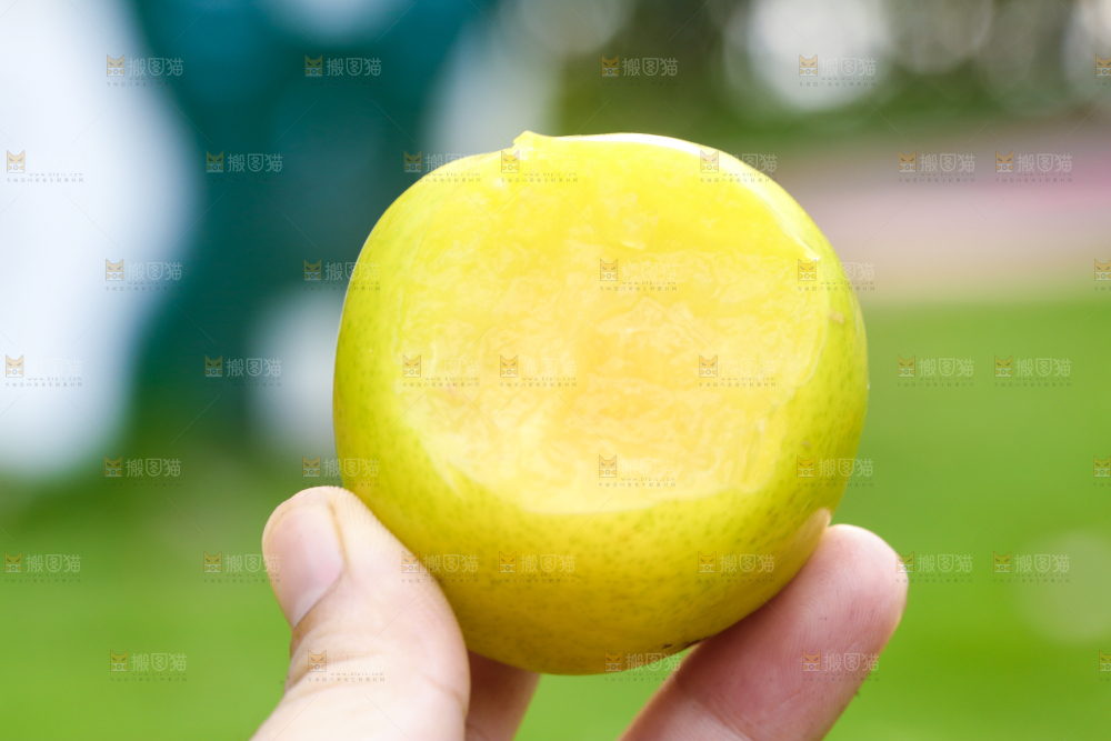 手里拿着李子