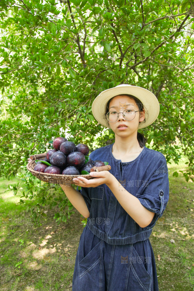 手里端着一篮新鲜黑布李