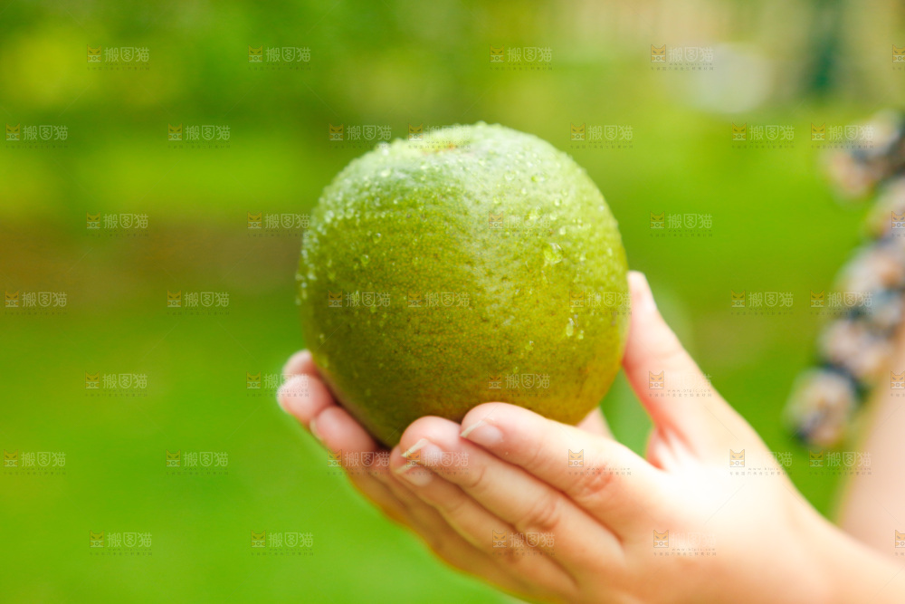 手里拿着夏橙