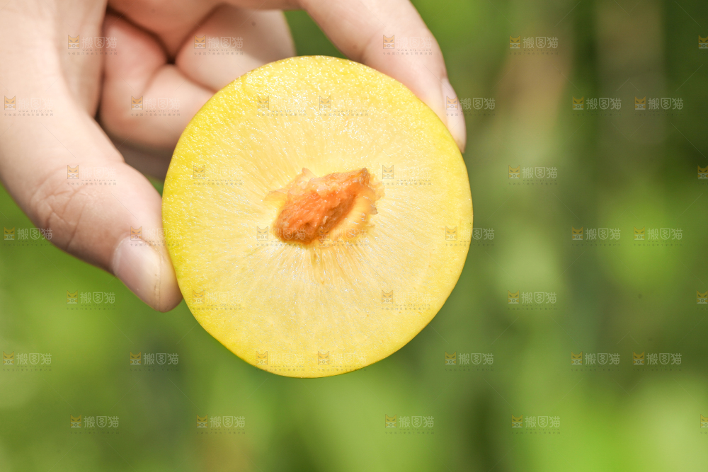手里拿着蜂糖李子