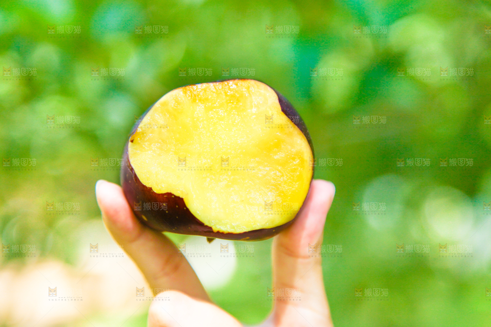 手里拿着黑布李