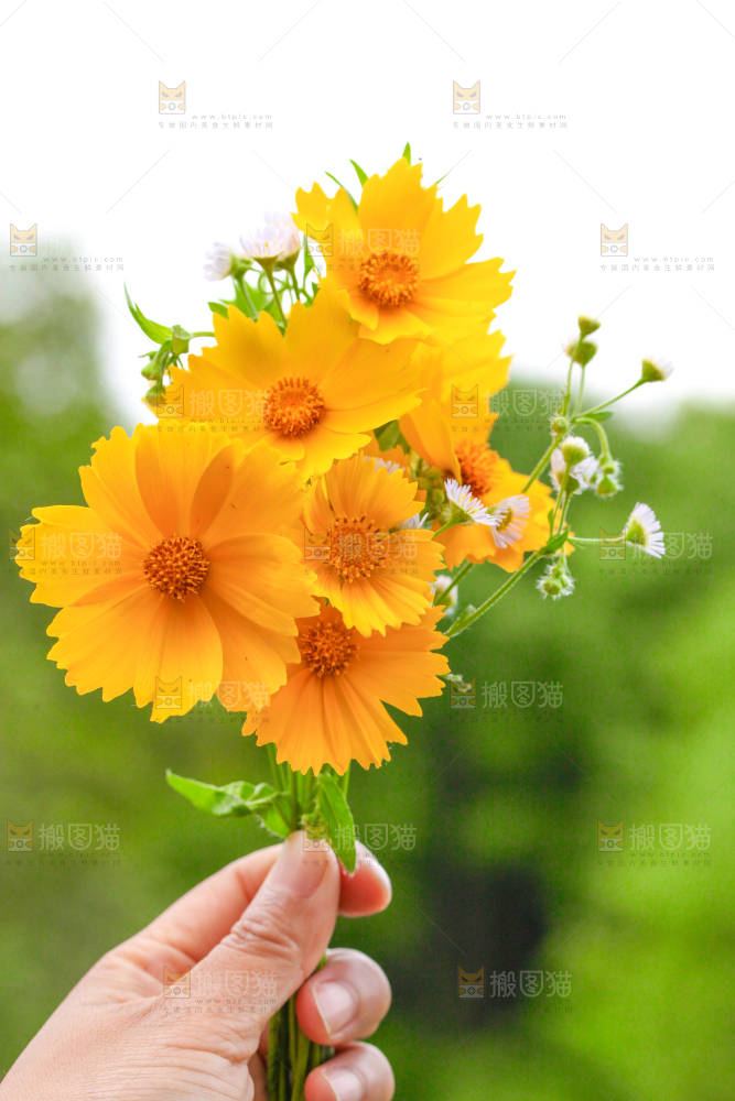 手里拿着花朵