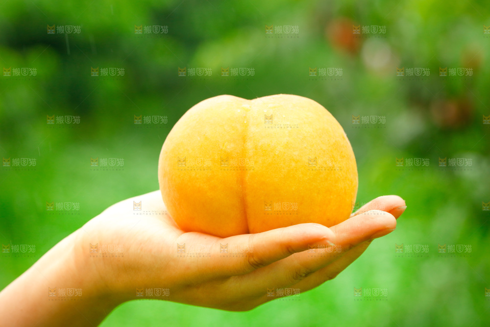 手里拿着鲜黄桃