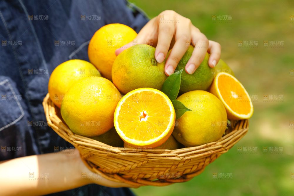 手里端着一篮秭归夏橙