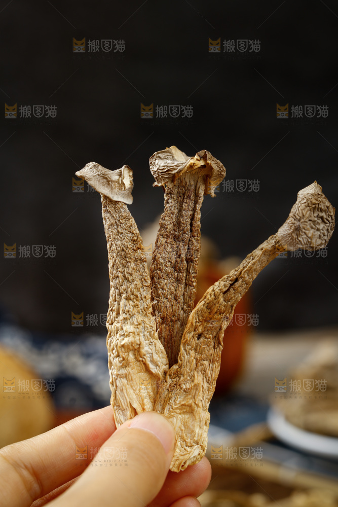 手里拿着茶树菇