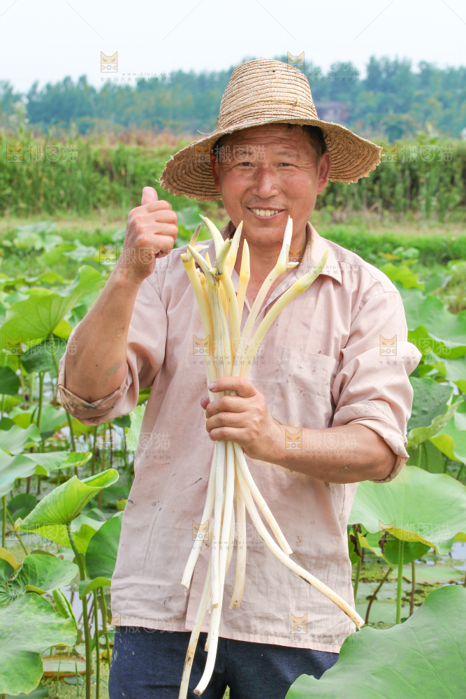 手里拿着新鲜采摘的藕尖
