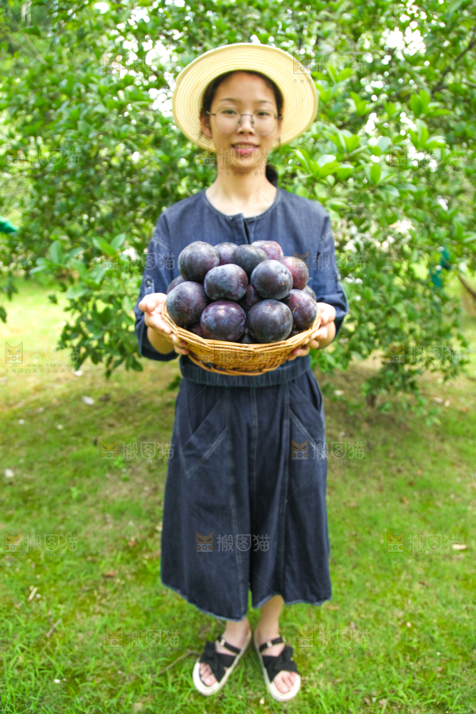 手里端着一篮黑布李