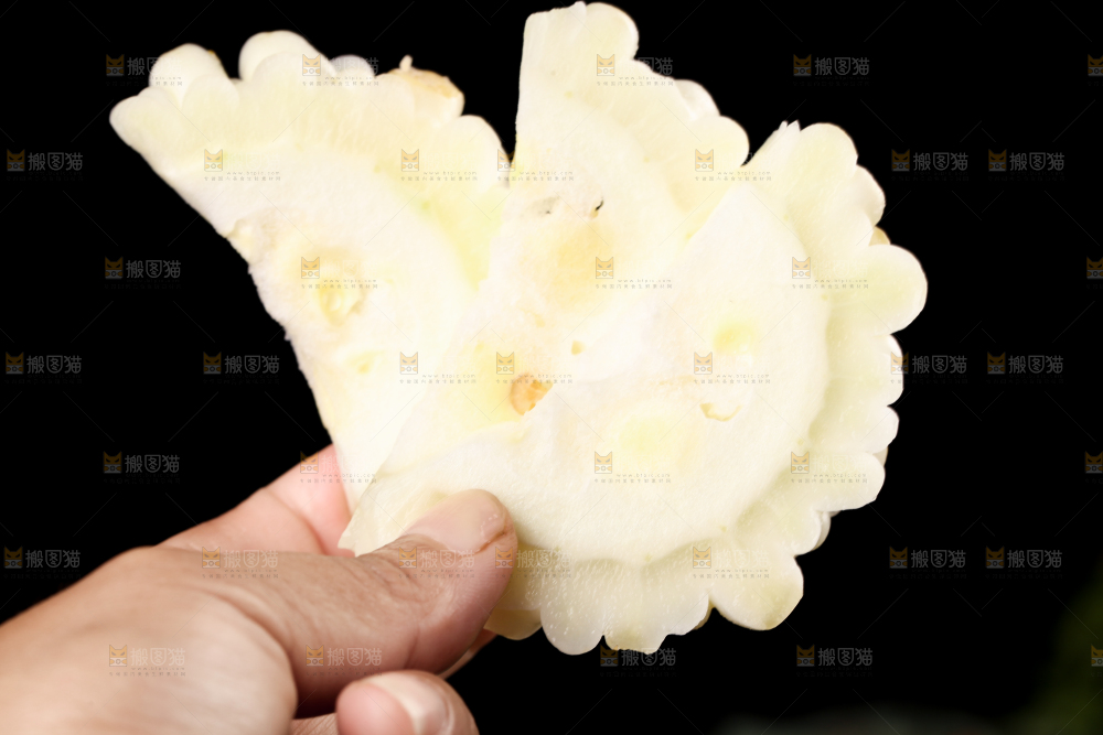 手里拿着白玉苦瓜