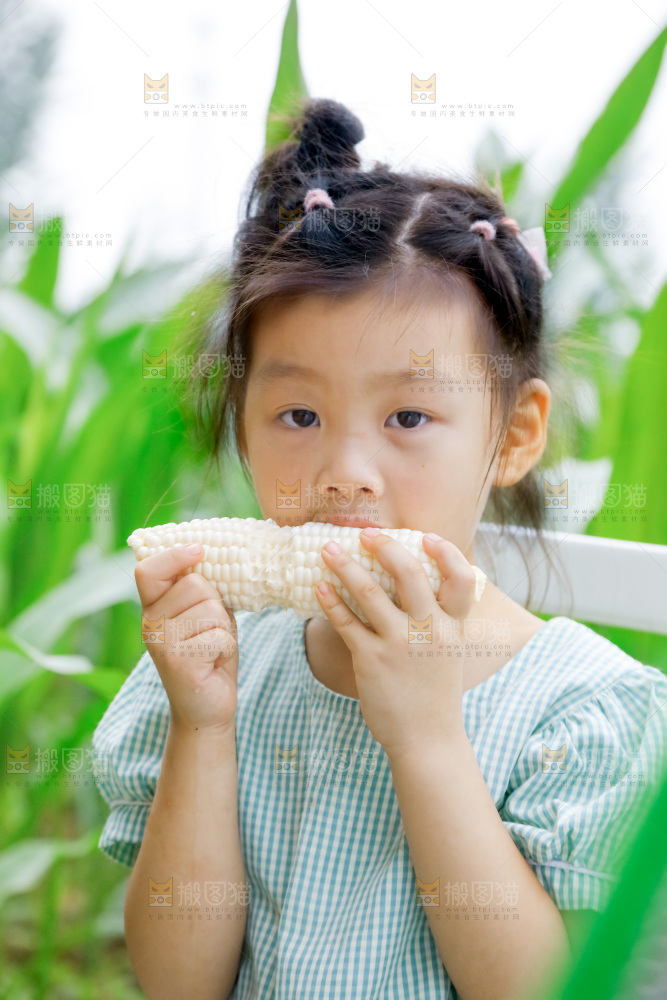 小女孩正在吃牛奶水果玉米