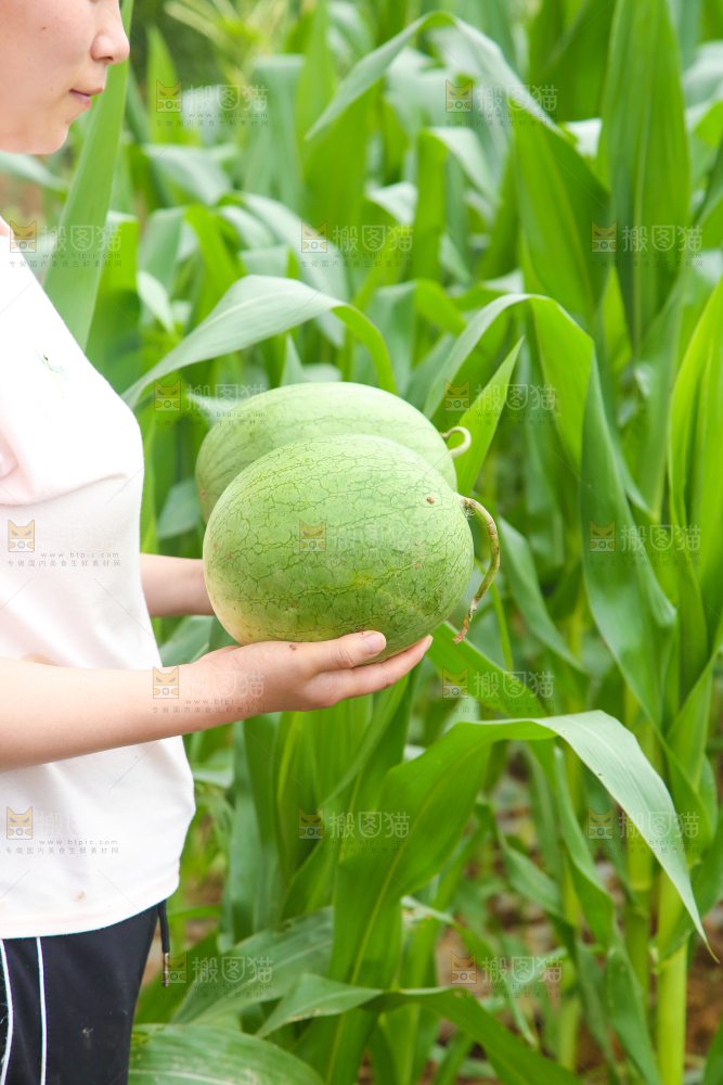 手里抱着西瓜