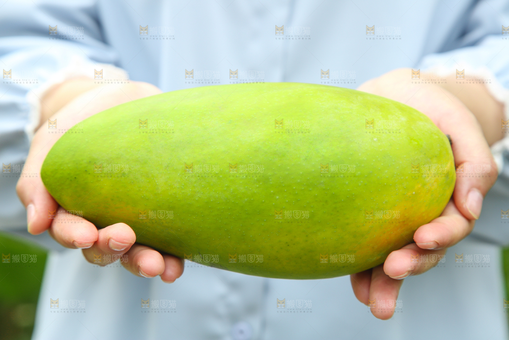手里拿着大青芒