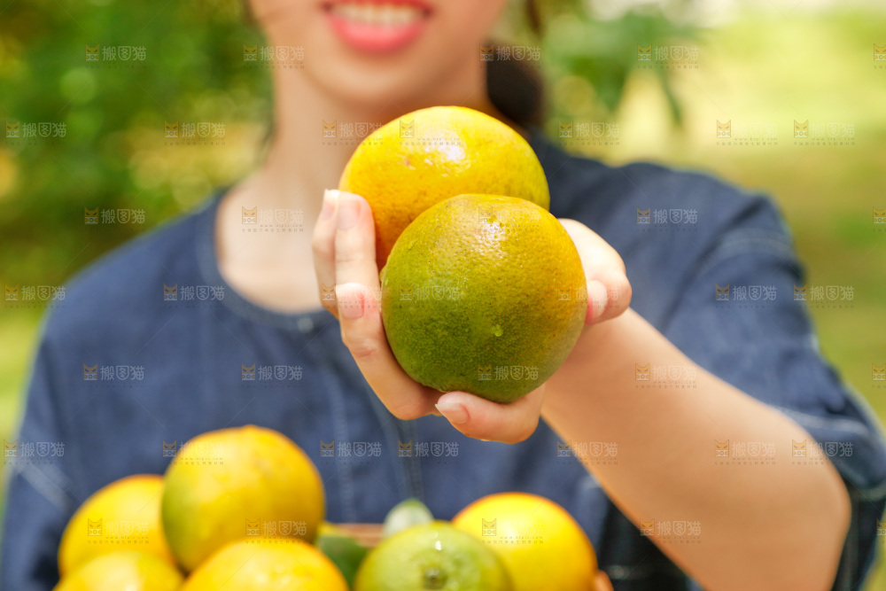 手里端着一篮秭归夏橙