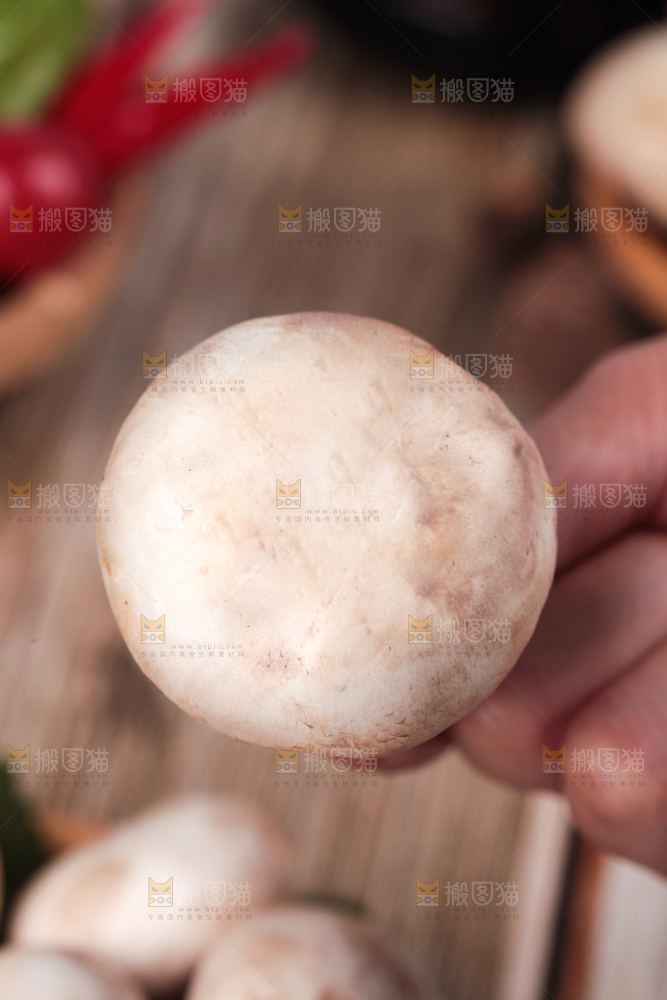 手里拿着新鲜小白菇