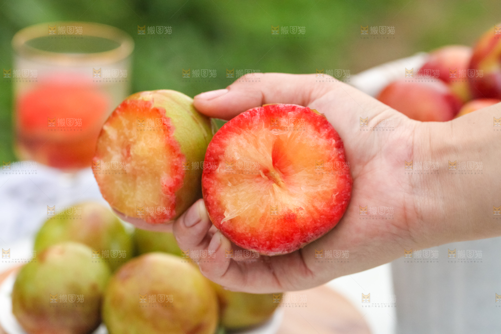手里拿着新鲜青皮红心李