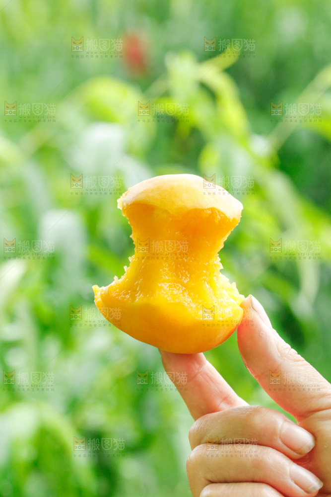 手里拿着黄桃