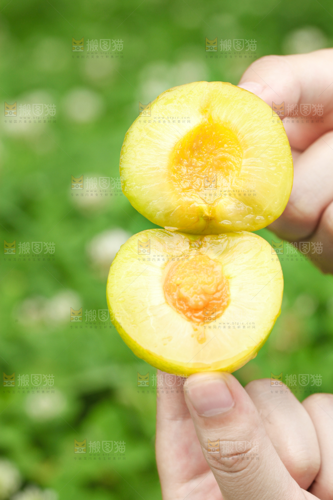 手里拿着黄金奈李