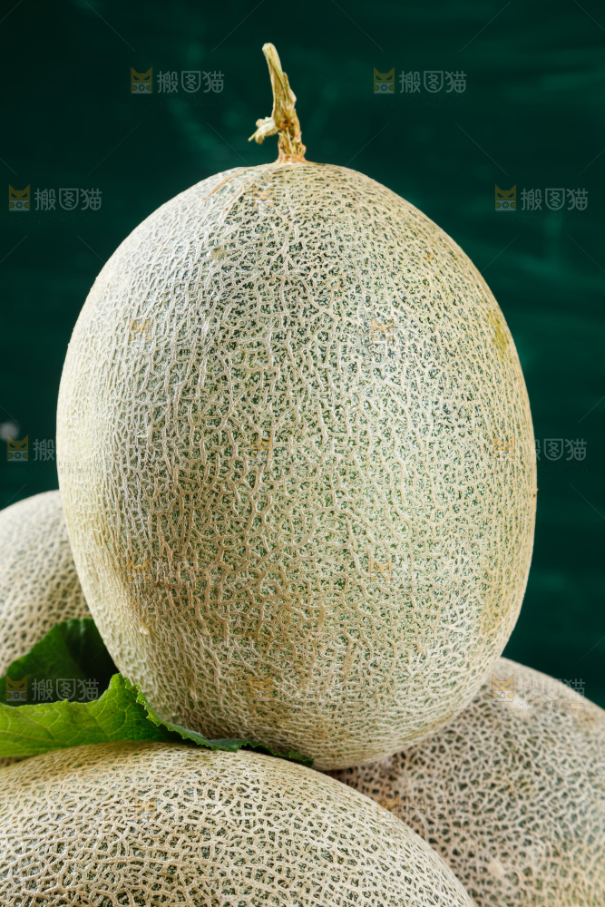 深底上的网纹瓜