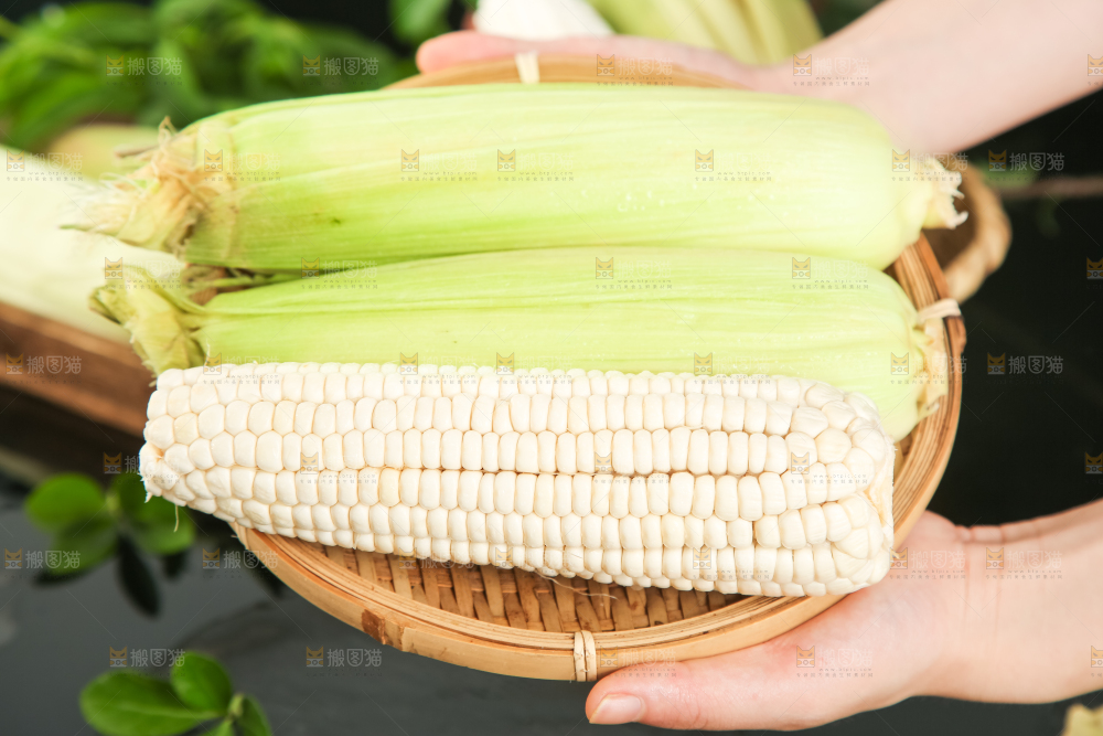 手里拿着白玉米