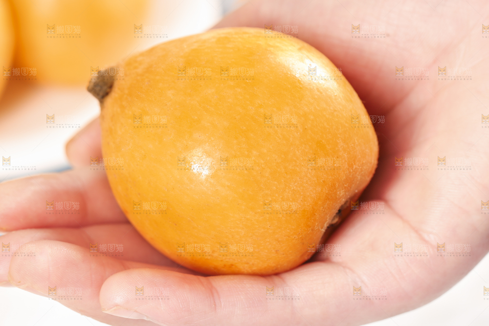 手里拿着枇杷果