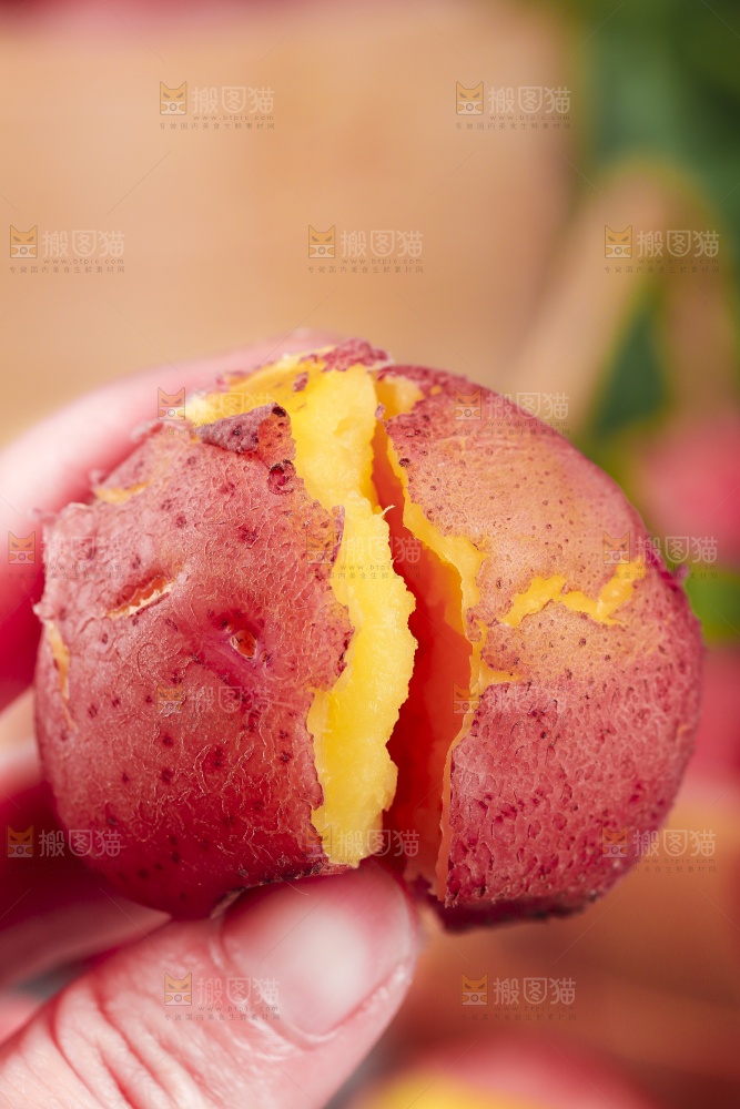 手里拿着红皮土豆