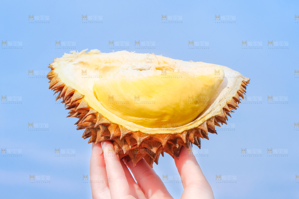 手里拿着榴莲