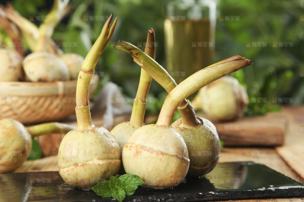 茨菇