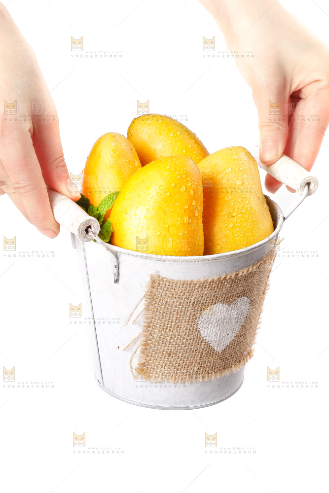 手里拿着台农芒