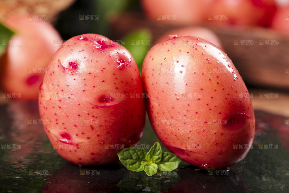 红皮土豆