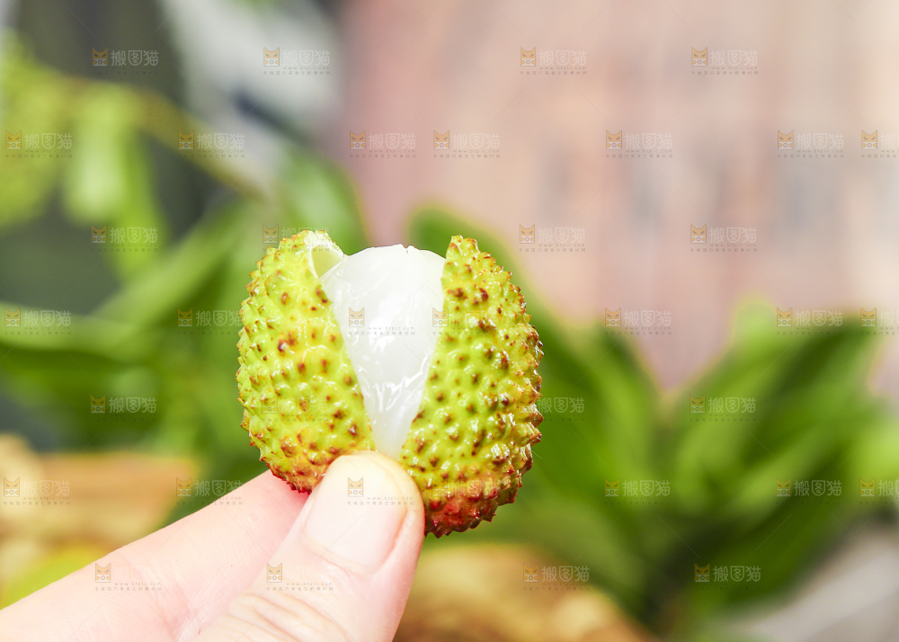妃子笑荔枝