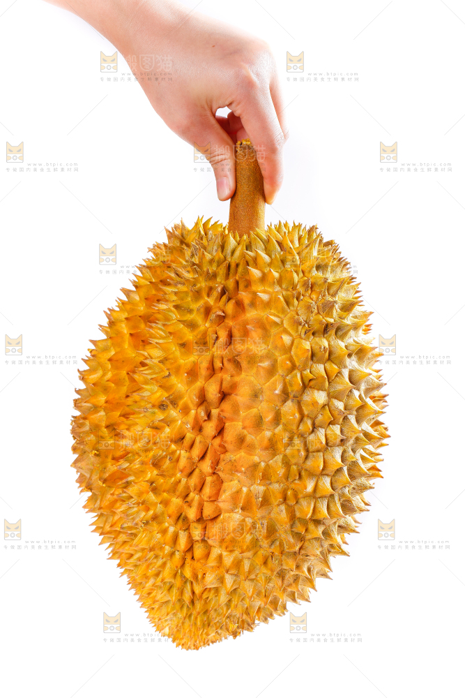 手里拿着榴莲