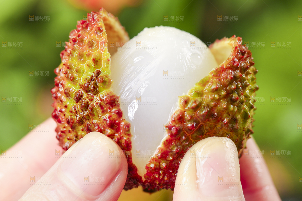妃子笑荔枝