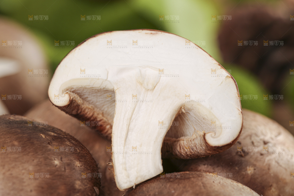 编织垫上放着香菇