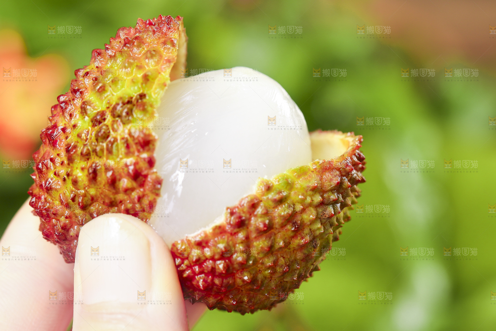 妃子笑荔枝