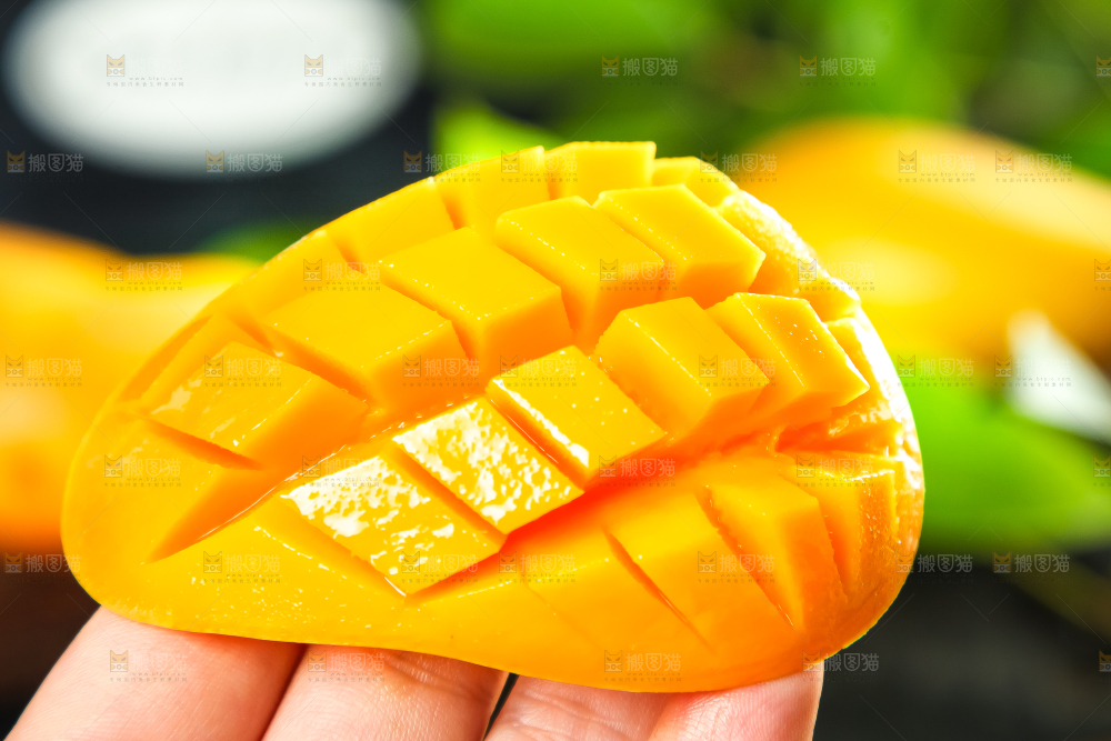 手里拿着小台芒