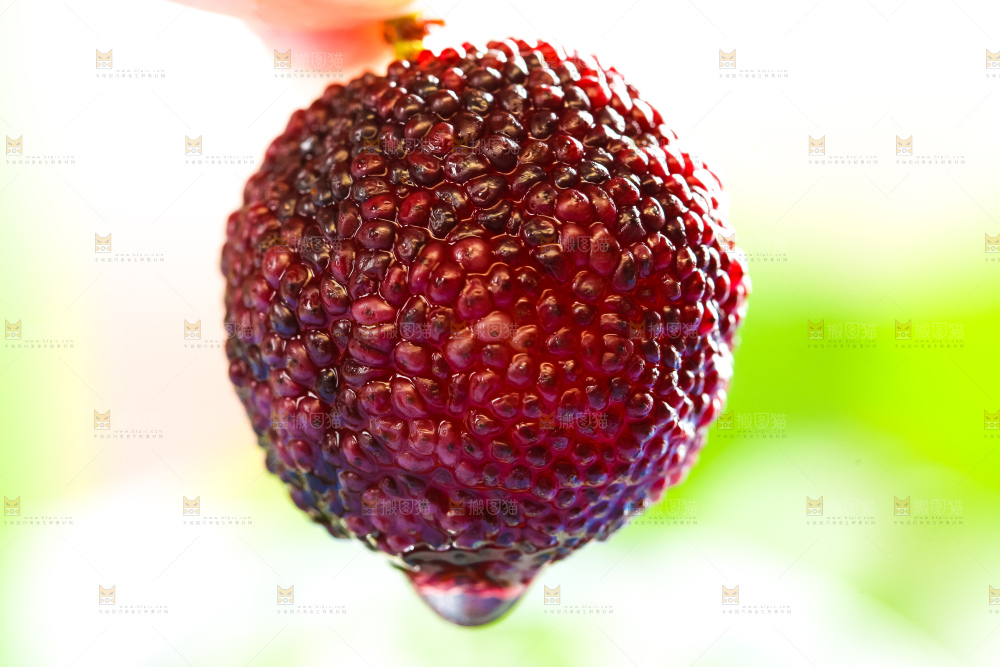 手里拿着荸荠杨梅