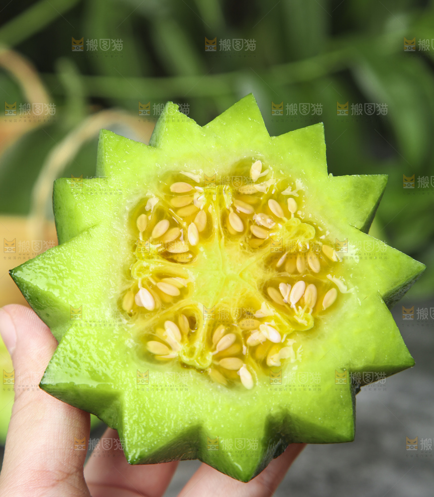 手里拿着绿宝香瓜