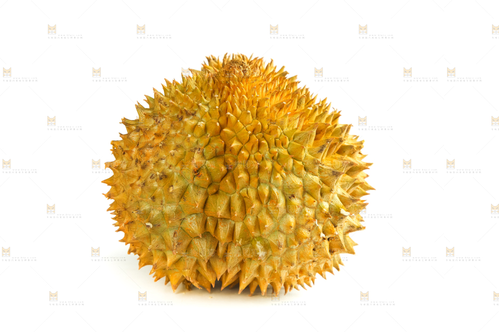 白底上摆放着进口榴莲