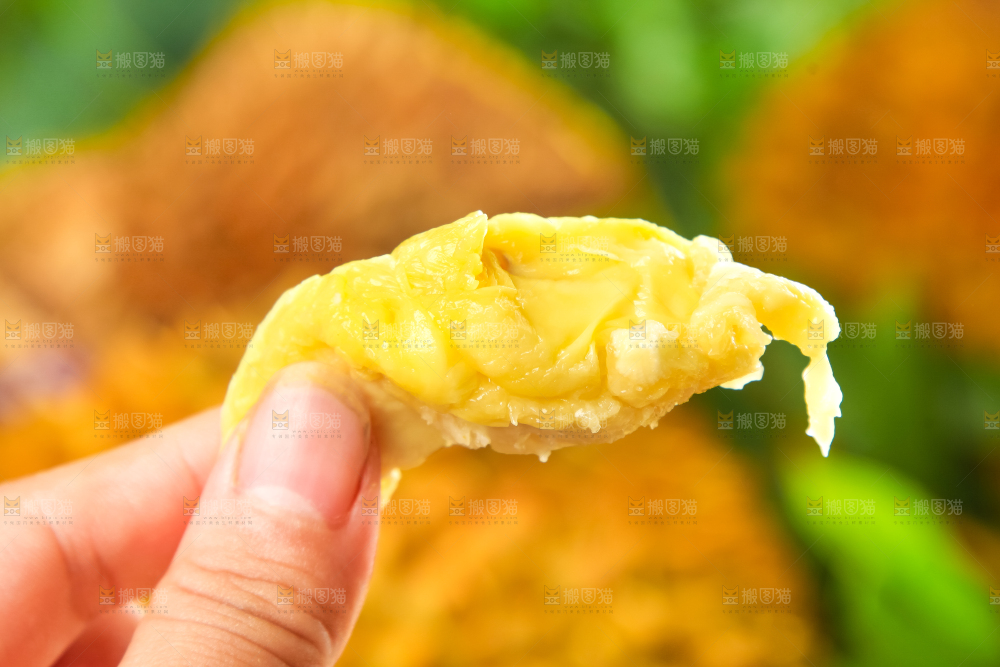 手里拿着榴莲