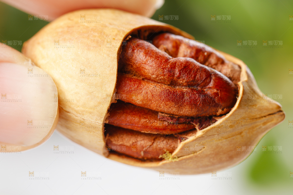 手里拿着长寿果