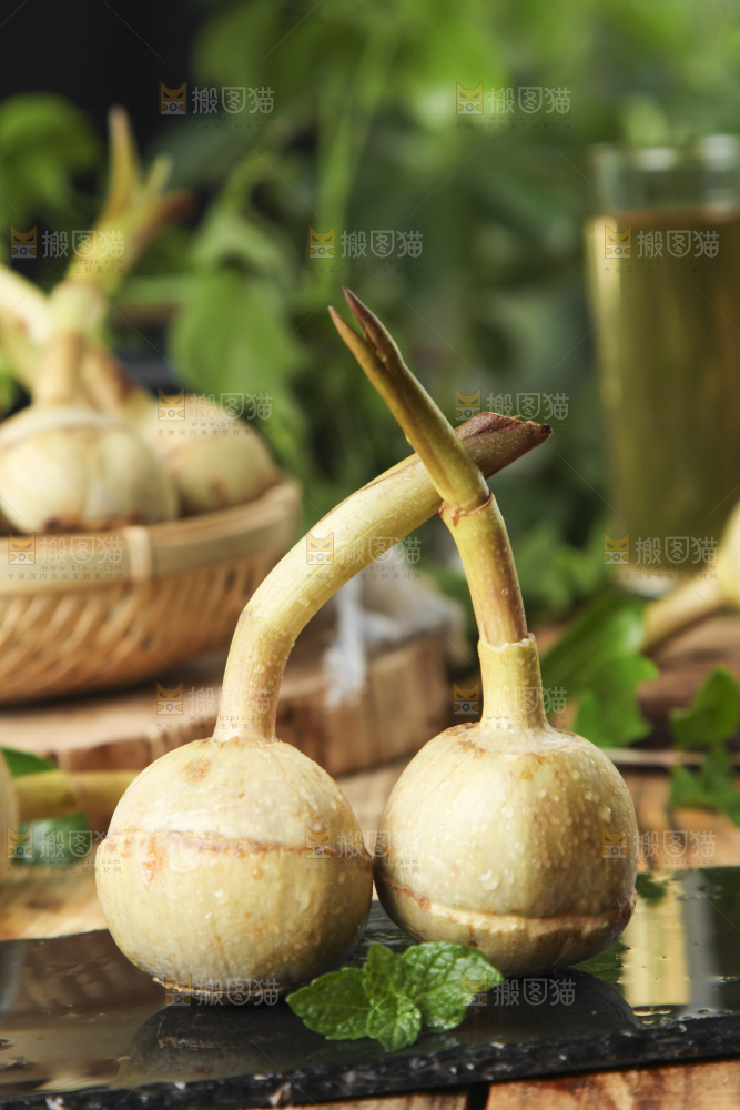 黑底上放着白茨菇